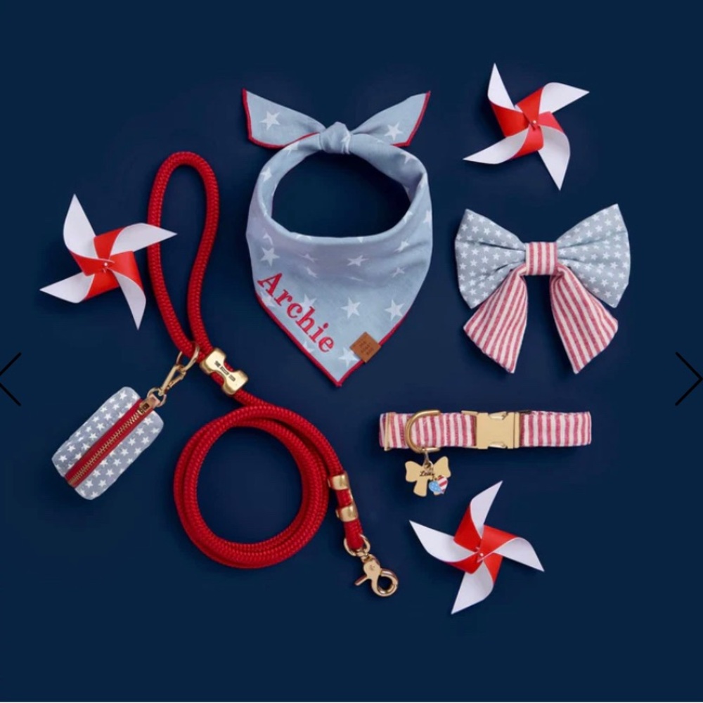 NEW The Foggy Dog Red Stripe Dog Collar - Picture 6 of 9